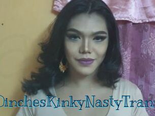 10inchesKinkyNastyTrans Archive DVD BIZ