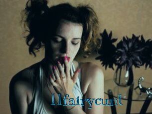 11fairycunt Archive DVD BIZ