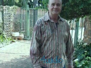 4uido