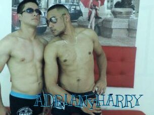 ADRIANyHARRY Archive DVD BIZ