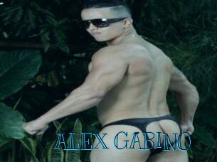 ALEX_GABINO
