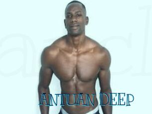 ANTUAN_DEEP Archive DVD BIZ