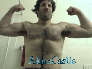 AdamCastle Archive DVD BIZ