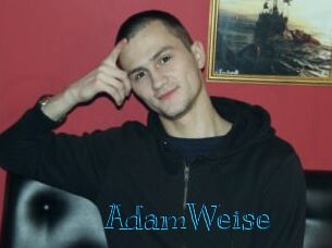 AdamWeise Archive DVD BIZ