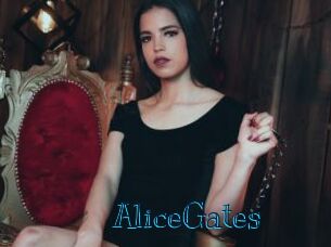 AliceGates