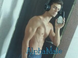 AlphaMale