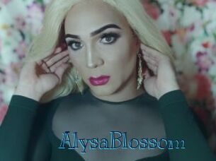 AlysaBlossom Archive DVD BIZ