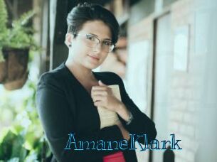 AmaneKlark Archive DVD BIZ
