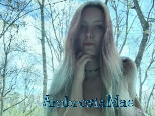 AmbrosiaMae