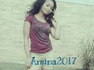 Amina2017