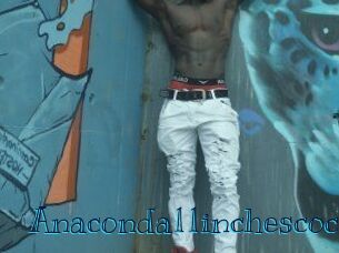 Anaconda11inchescock