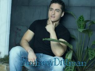 AndrewDittman