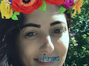 Anes