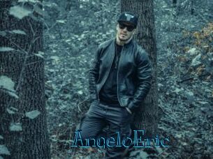 AngeloEric Archive DVD BIZ