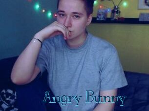 Angry_Bunny