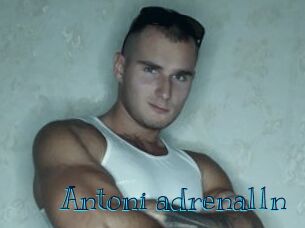 Antoni_adrenal1n