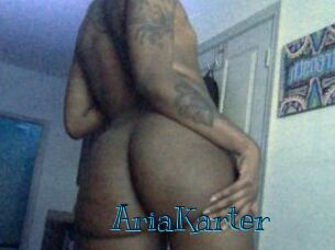 AriaKarter