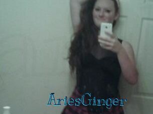 AriesGinger