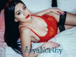 AryaNorthy
