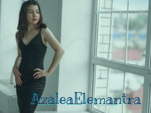 AzaleaElemantra Archive DVD BIZ