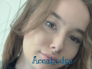 Accabodge