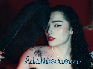 adalinecuervo Archive DVD BIZ