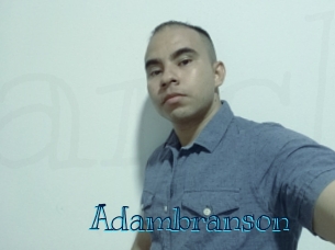 adambranson Archive DVD BIZ
