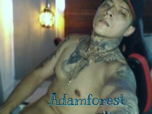 Adamforest