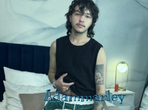 adammarley Archive DVD BIZ