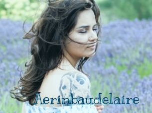 aerinbaudelaire Archive DVD BIZ