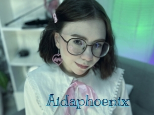 aidaphoenix Archive DVD BIZ