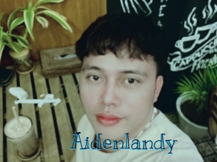 aidenlandy Archive DVD BIZ
