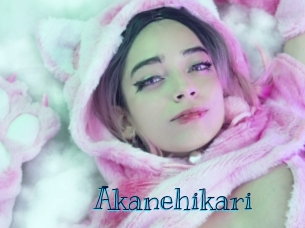 akanehikari Archive DVD BIZ
