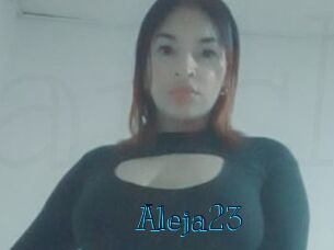 Aleja23