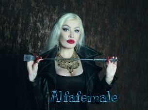 Alfafemale