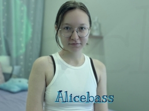 alicebass Archive DVD BIZ