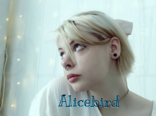 Alicebird