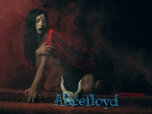 alicefloyd Archive DVD BIZ