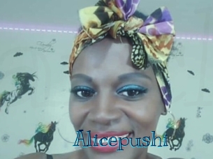 alicepushi Archive DVD BIZ