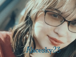 Alicesky23