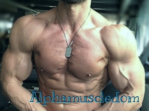 alphamuscledom Archive DVD BIZ
