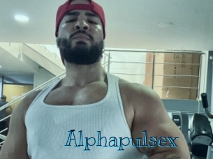alphapulsex Archive DVD BIZ