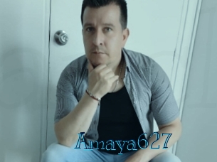 amaya627 Archive DVD BIZ