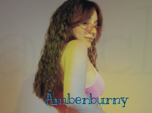 amberburny Archive DVD BIZ