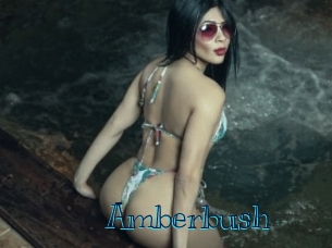 Amberbush