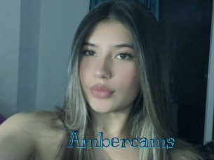 ambercams Archive DVD BIZ
