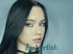 amberfish Archive DVD BIZ