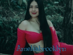 ameliabrooklyn Archive DVD BIZ