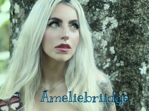 Ameliebriidge