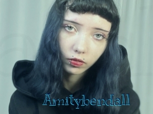 amitybendall Archive DVD BIZ
